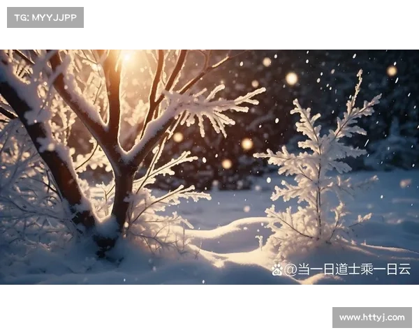 冬日湖畔的静谧与思索在白雪纷飞中的心灵觉醒与内省之旅 冬日湖畔的静谧与思索在白雪纷飞中的心灵觉醒与内省之旅