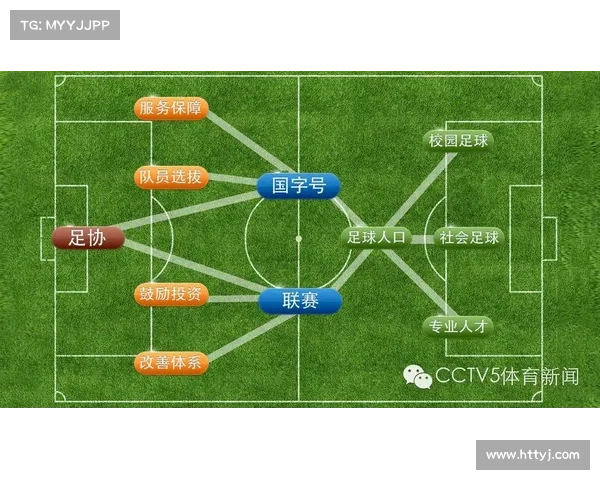 全面解析建业俱乐部的组织性质与发展模式及其在中国足球格局中的定位