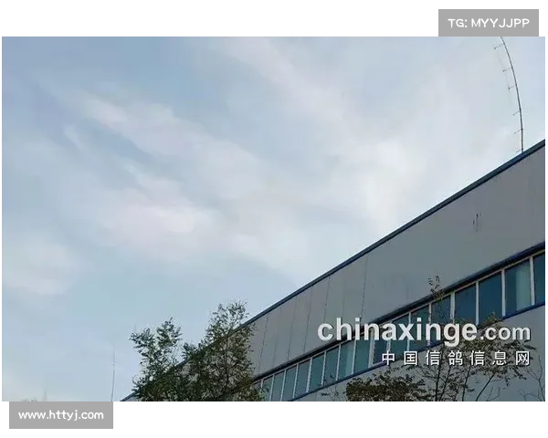 全面解析加的夫城所参与联赛及其俱乐部代表性背景深度探讨全貌展